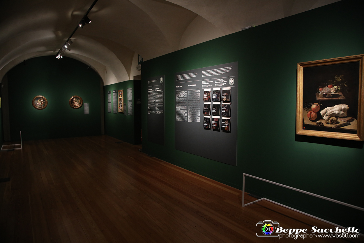 VBS_7850 - La canestra di Caravaggio.jpg